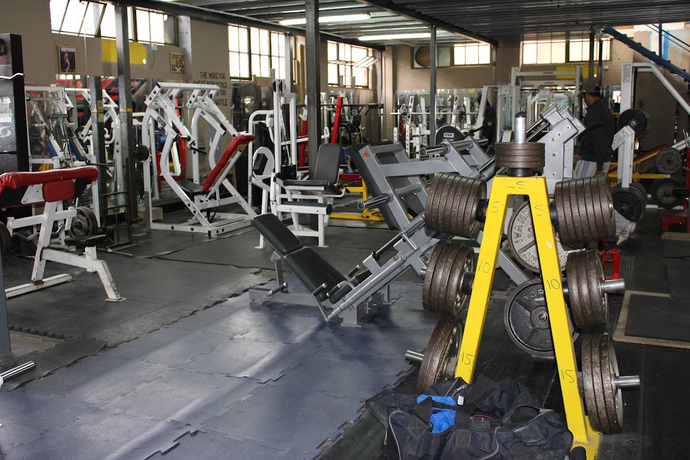 Genesis Gym