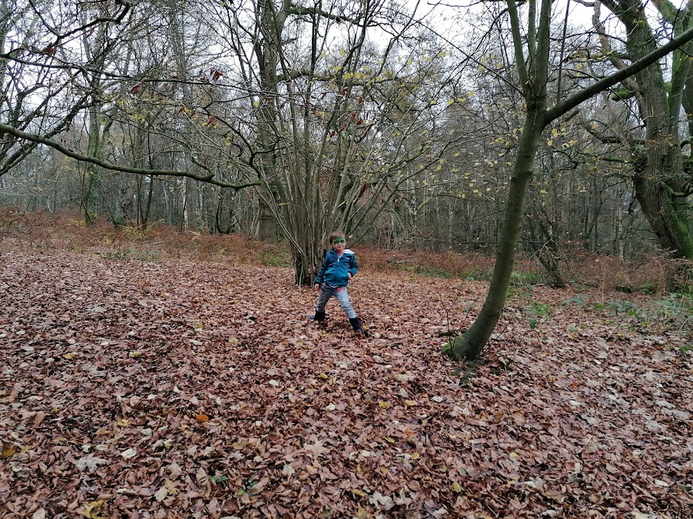 National Trust – Abinger Roughs and Netley Park