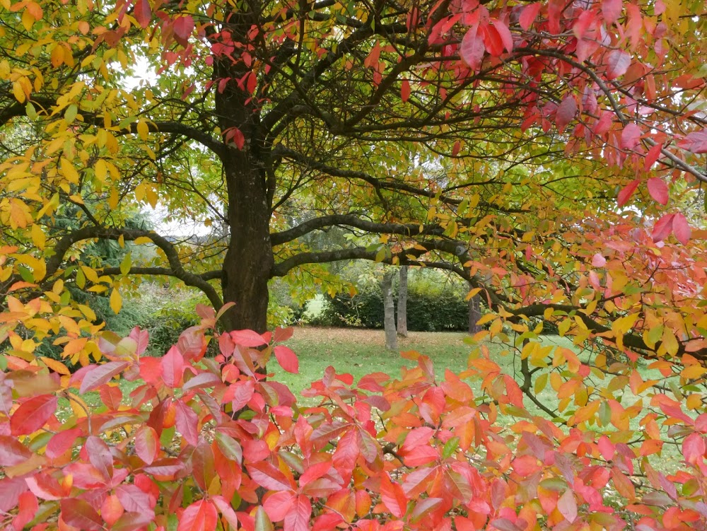 National Trust – Emmetts Garden