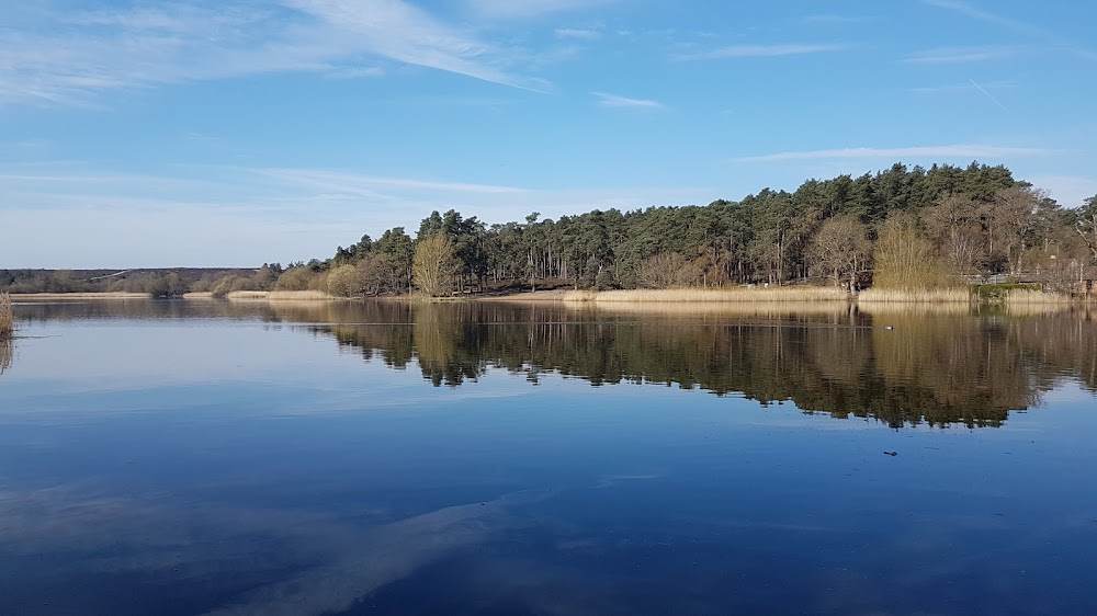 National Trust – Frensham Little Pond