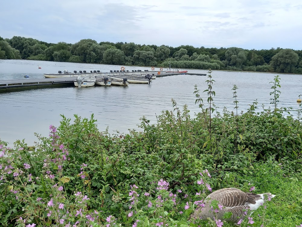 Hanningfield Waterside Park