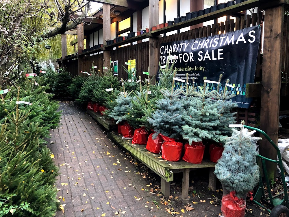 Mill Lane Garden Centre